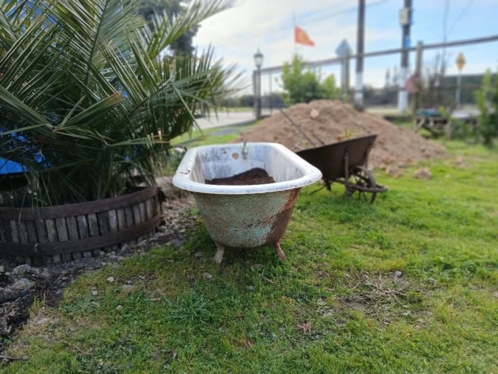 Bañera antigua como jardinera